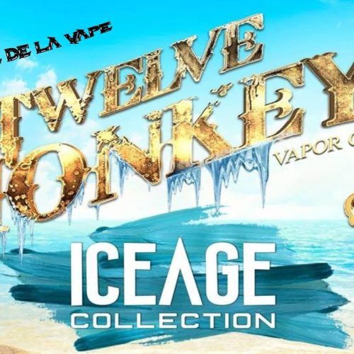 twelve monkeys ice age e liquid 50ml shortfill 4956579659819